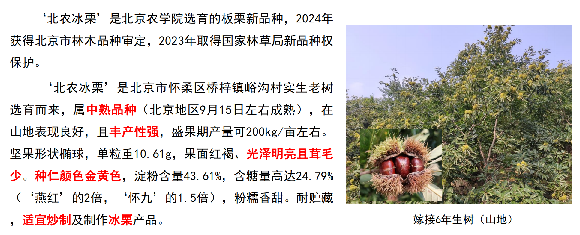 63a821b2f69fb18d271b296a26fa240.png