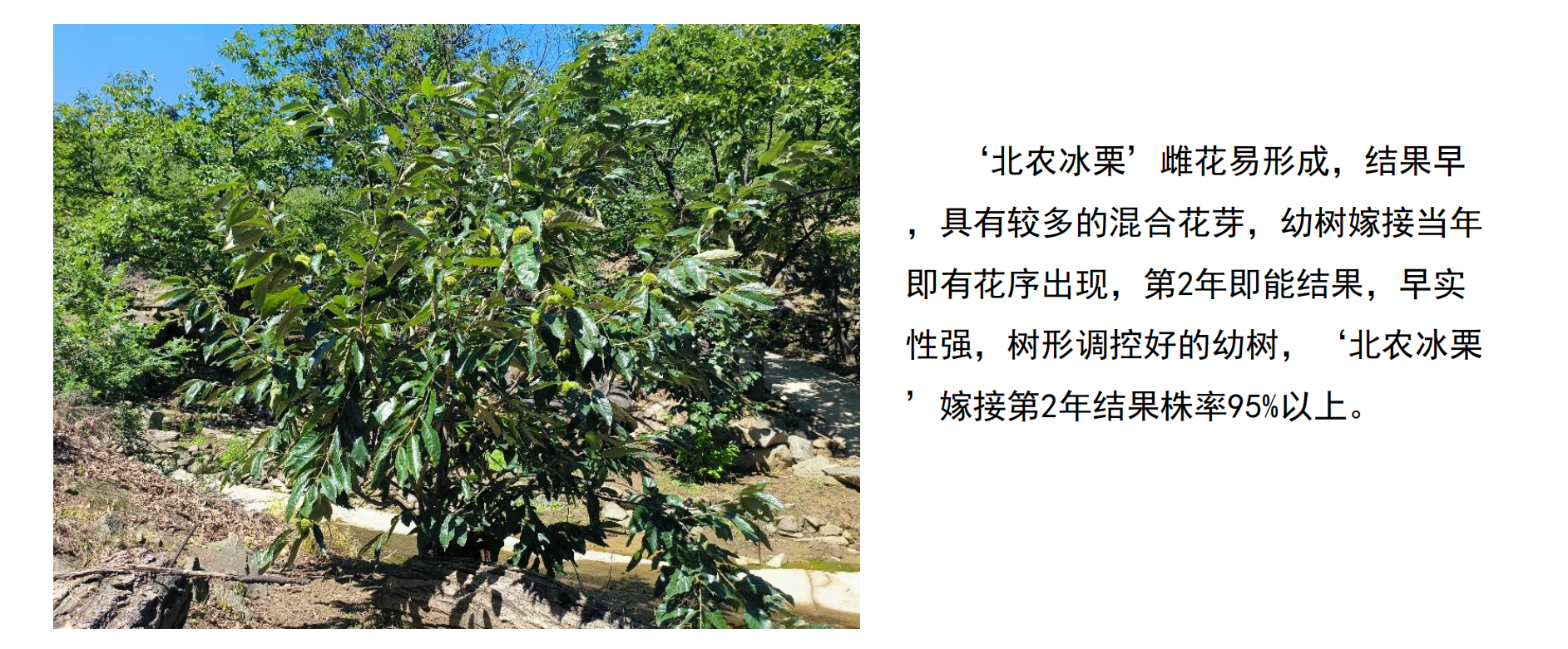 f70651d44846466cb23ec519fea44f7.png